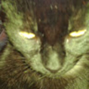 Meet your Posher, Marion